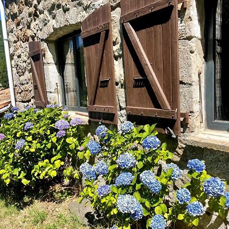 Gite Des Sausses Dans Une Nature Preservee Burzet Exterior foto