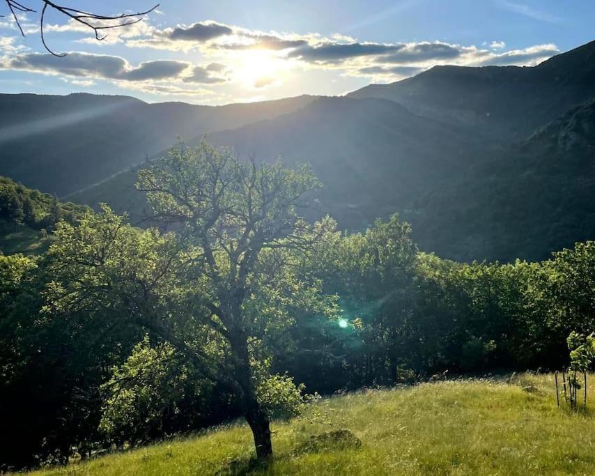Gite Des Sausses Dans Une Nature Preservee Burzet Exterior foto